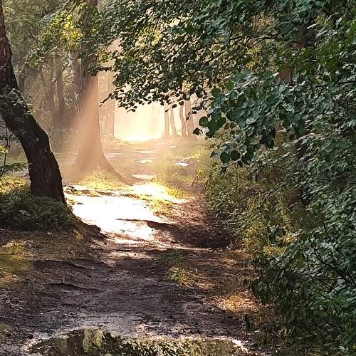 Photo #11015226