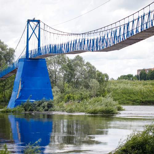 Photo #11015355