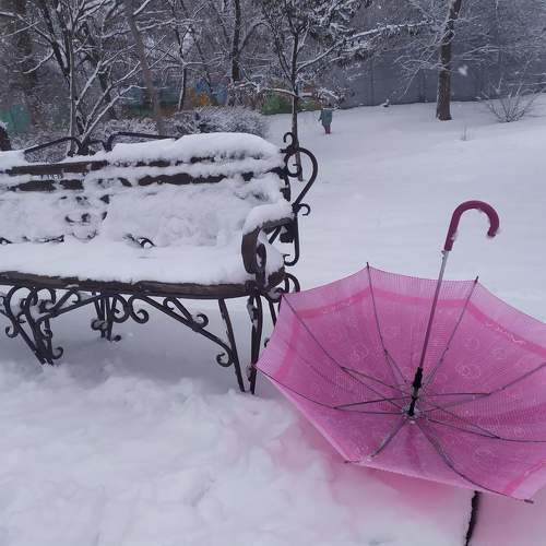 Photo #11015570