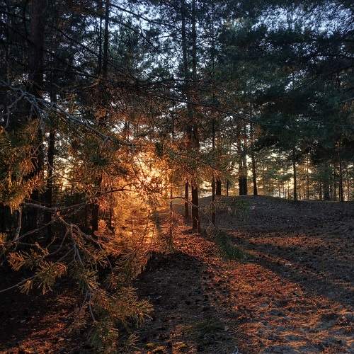Photo #11015773
