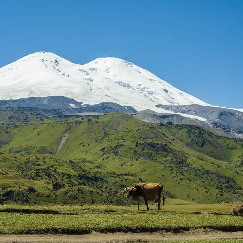 Photo #11015893