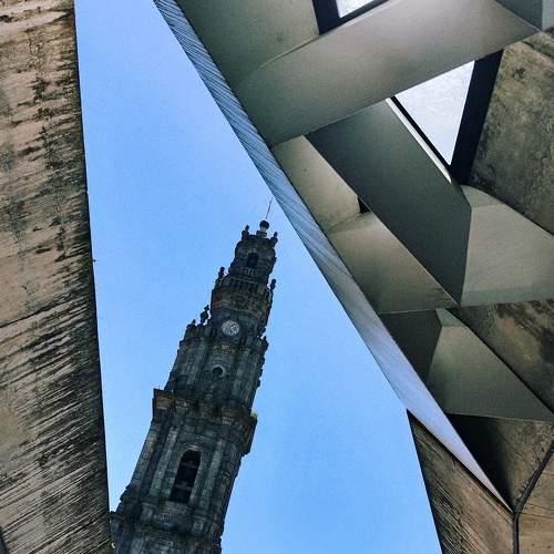 Фотография #11015960