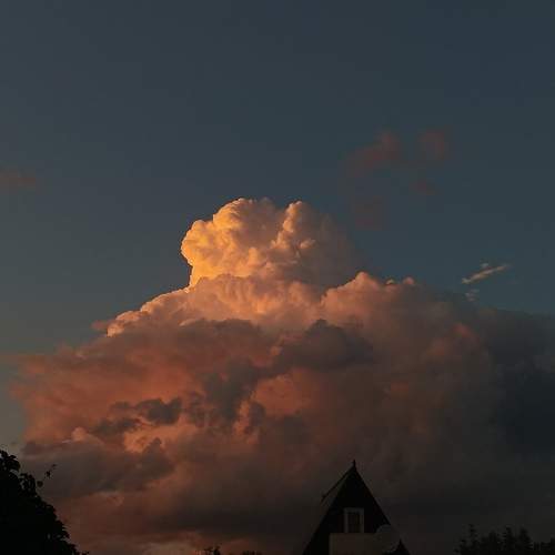 Photo #11016493