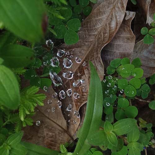 Photo #11016555