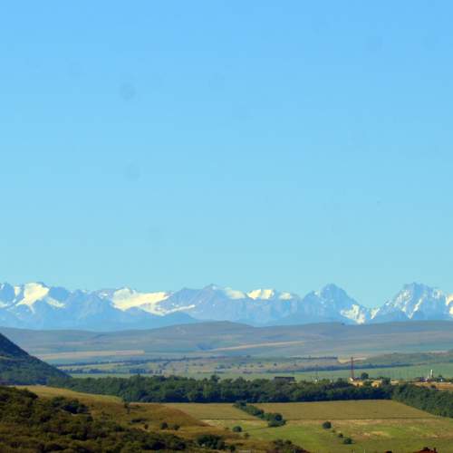 Photo #11017045