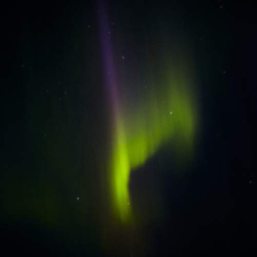 Photo #11017185