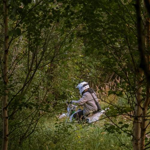 Photo #11017331