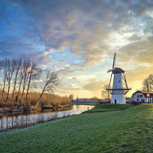 Photo #11017662