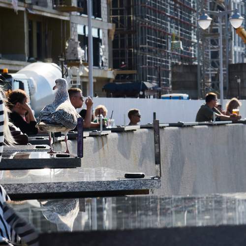 Photo #11018012