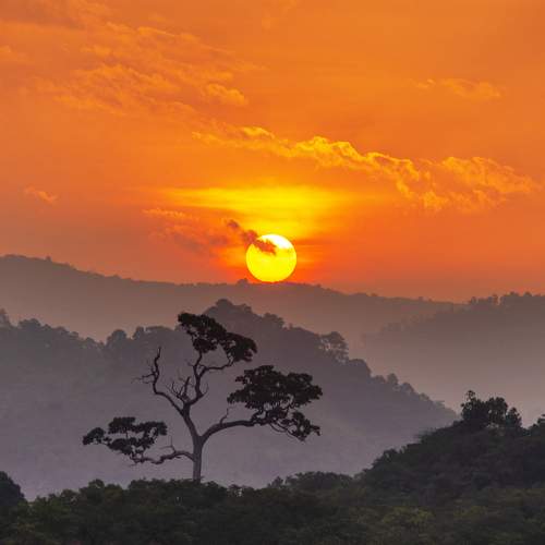 Photo #11018304