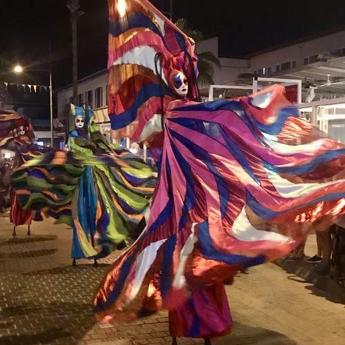 Photo #11018455