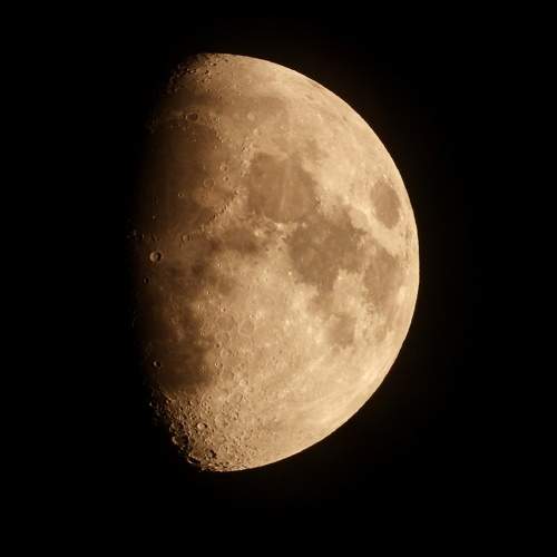 Photo #11018461