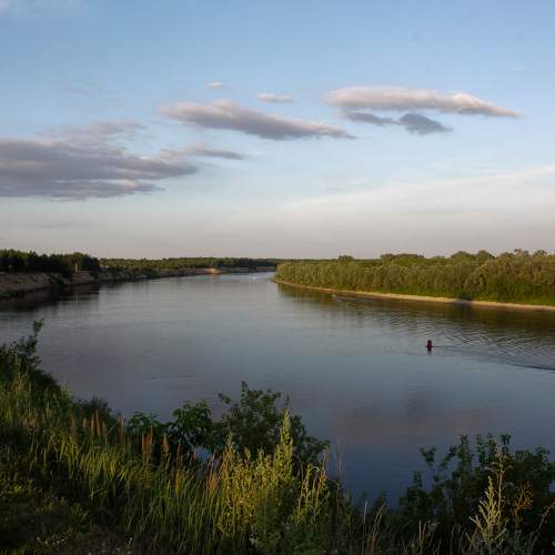 Photo #11018718