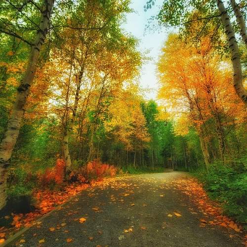 Photo #11018747