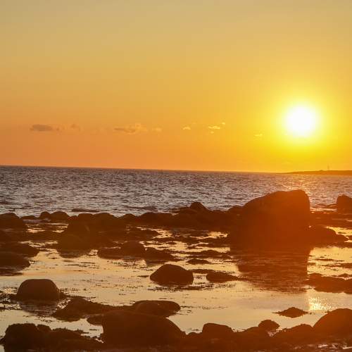 Photo #11018929