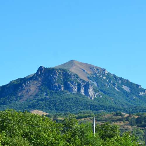 Photo #11019359