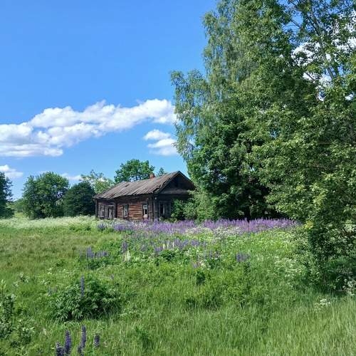 Photo #11019374
