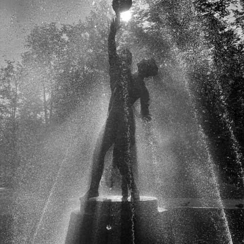 Photo #11019538