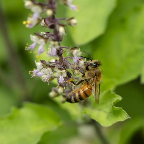 Photo #11019610