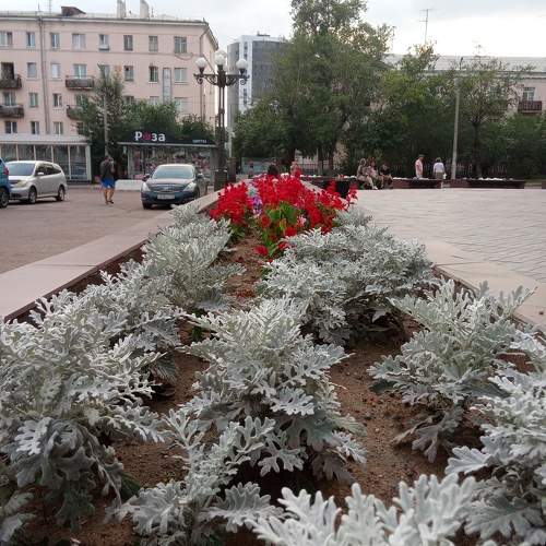 Photo #11019621
