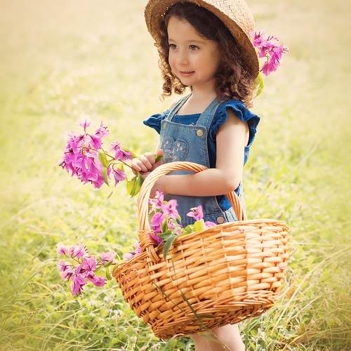 Photo #11019818