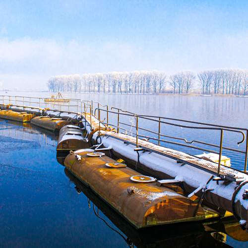 Photo #11020424