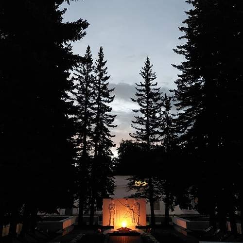 Photo #11020544