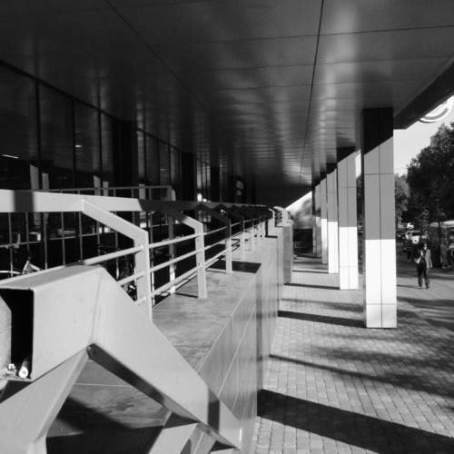 Photo #11020846