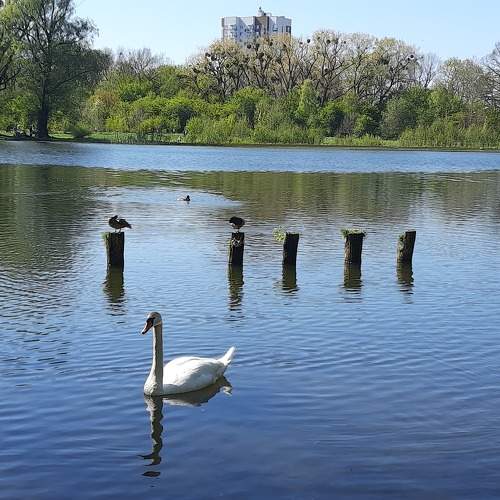 Photo #11021077