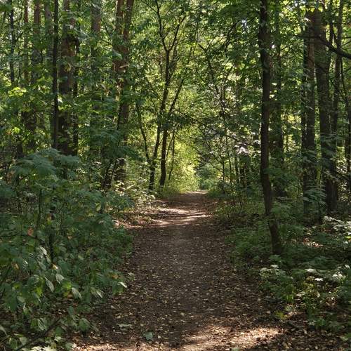 Photo #11021687