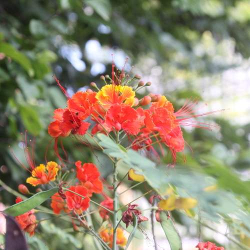 Photo #11021994