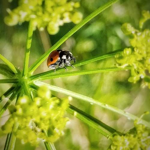 Photo #11022167
