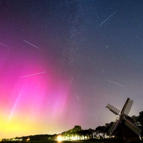 Photo #11022311