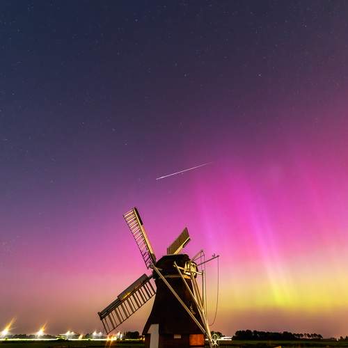 Photo #11022315