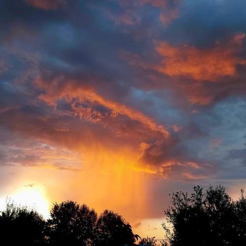 Photo #11022340