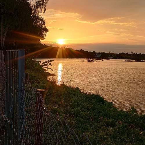 Photo #11022457