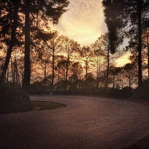 Photo #11022680