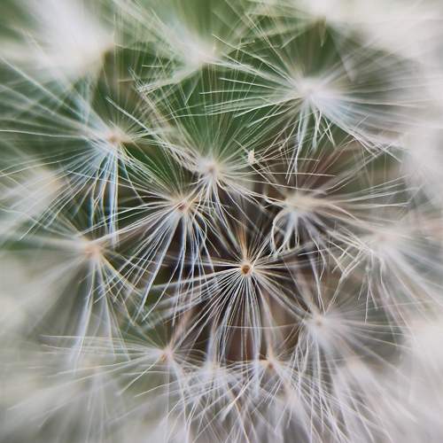 Photo #11022756