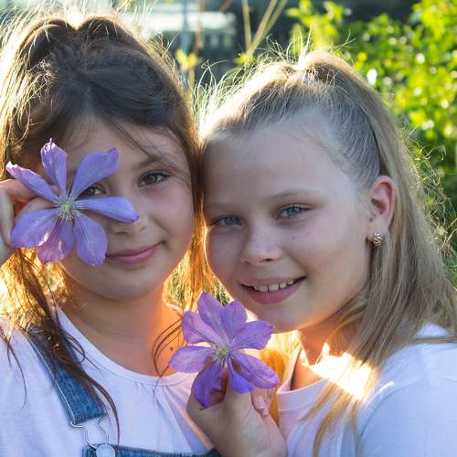 Photo #11023029