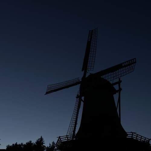 Photo #11023156