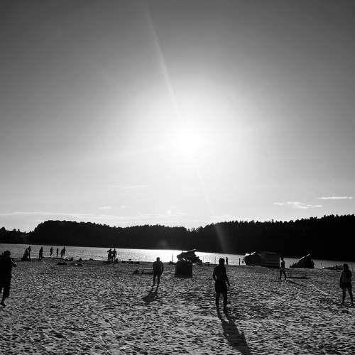 Photo #11023170