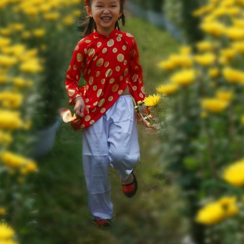 Photo #11023211