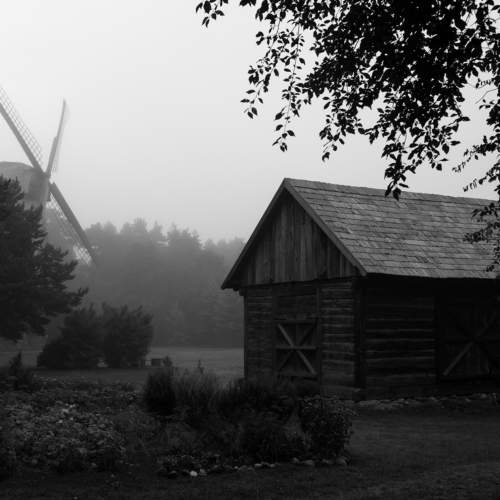 Photo #11023389