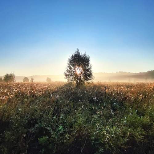 Photo #11023398