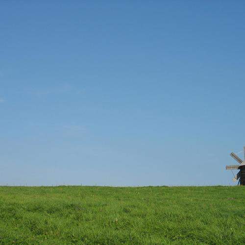 Photo #11023424