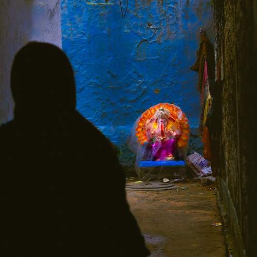 Photo #11023526