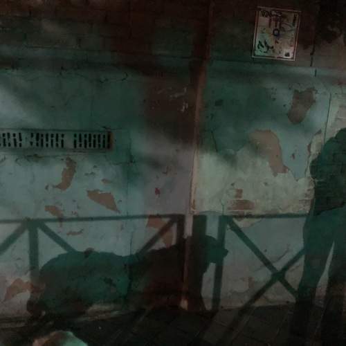 Photo #11023597