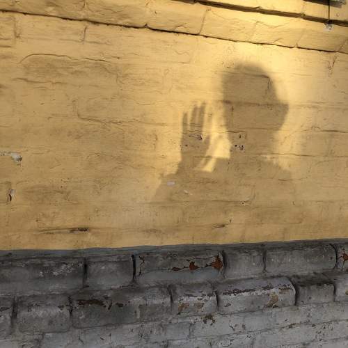Photo #11023598