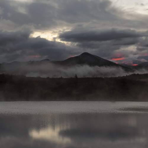 Photo #11023599