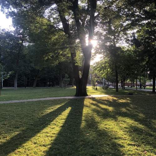Photo #11023604